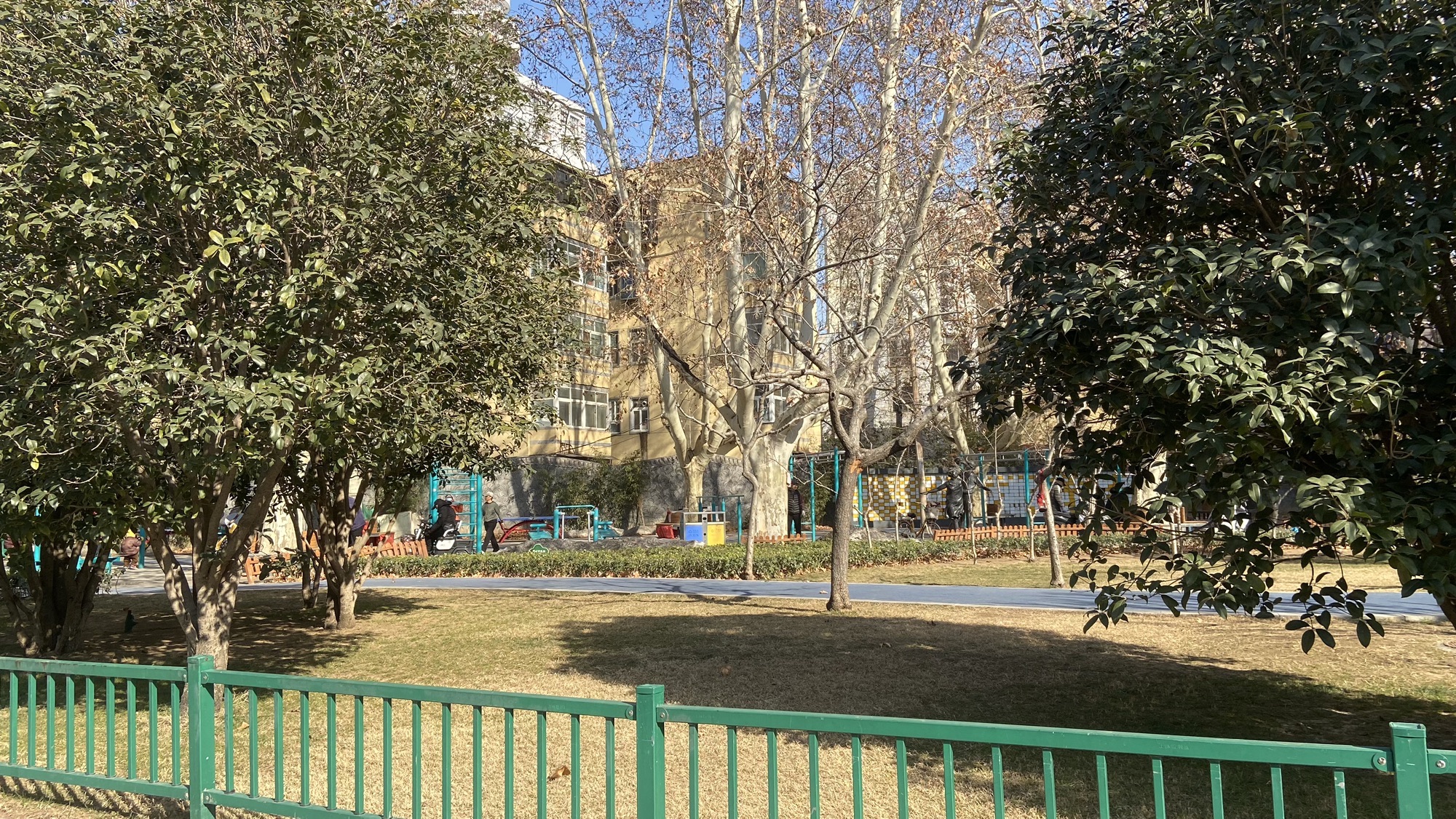 政一街游园