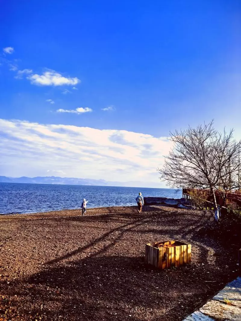 广龙抚海湾湿地公园