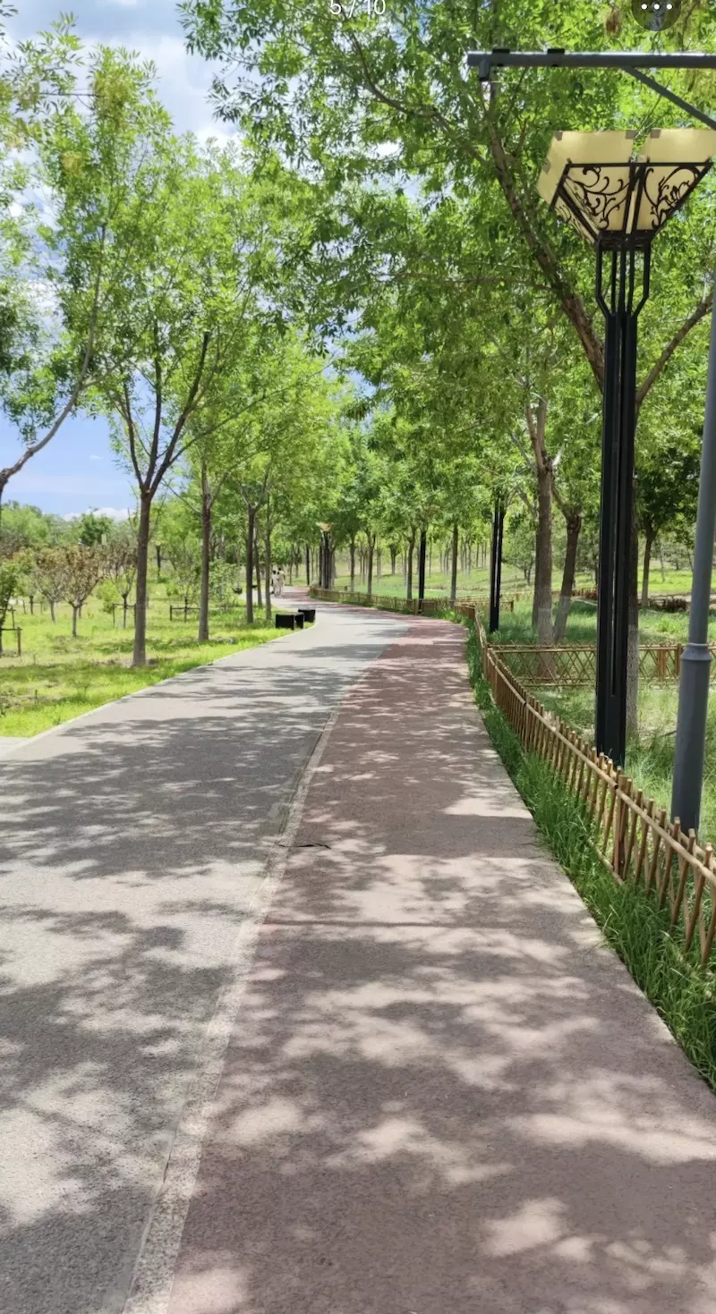 北京朝来森林公园