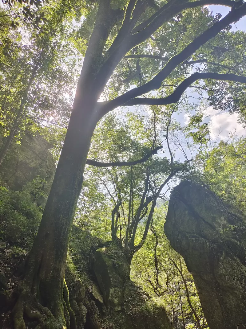老君洞旅游度假区