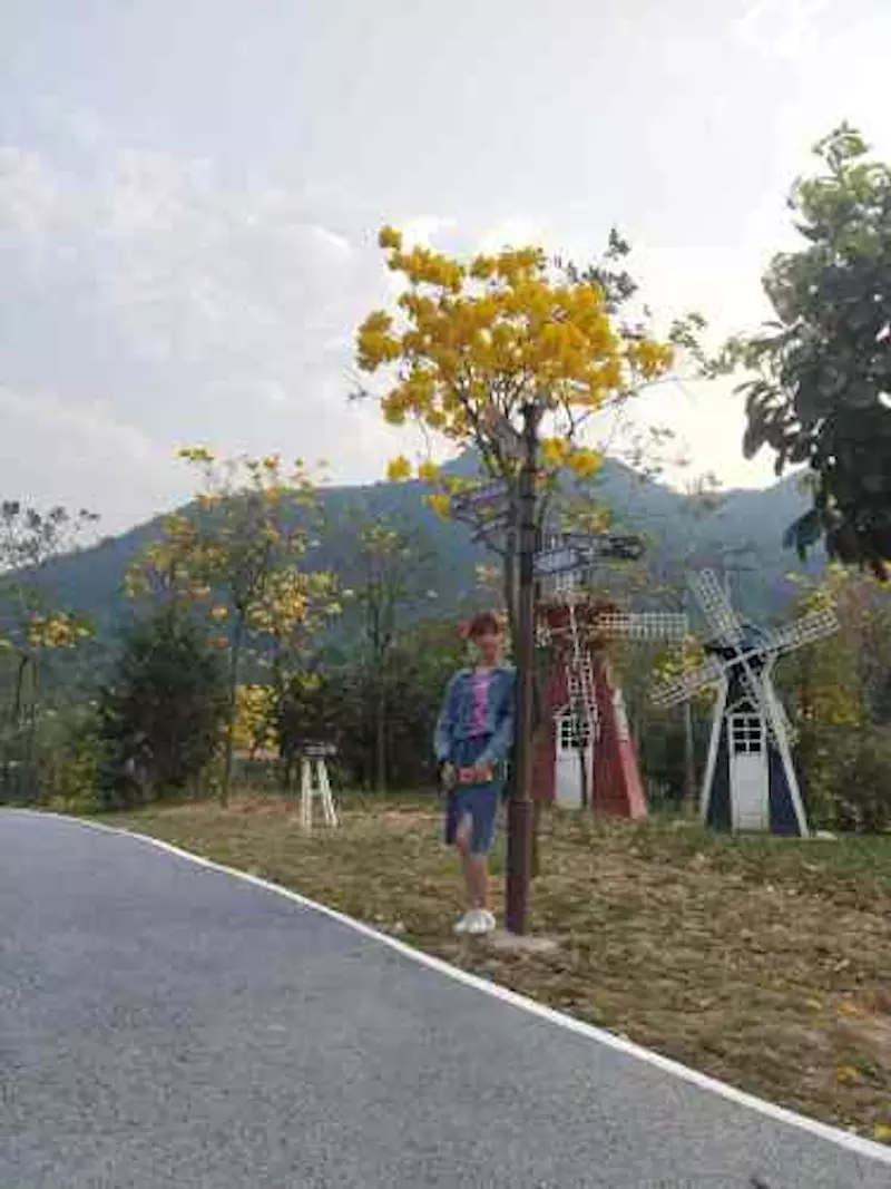 派阳山森林公园