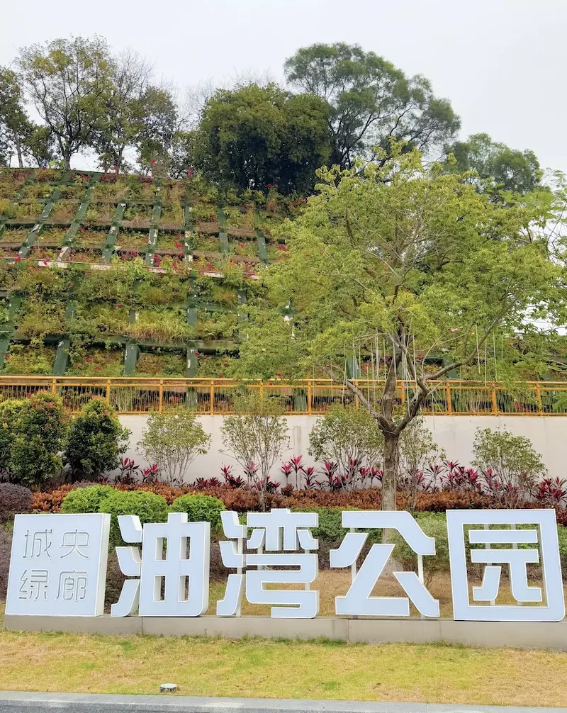 油湾公园
