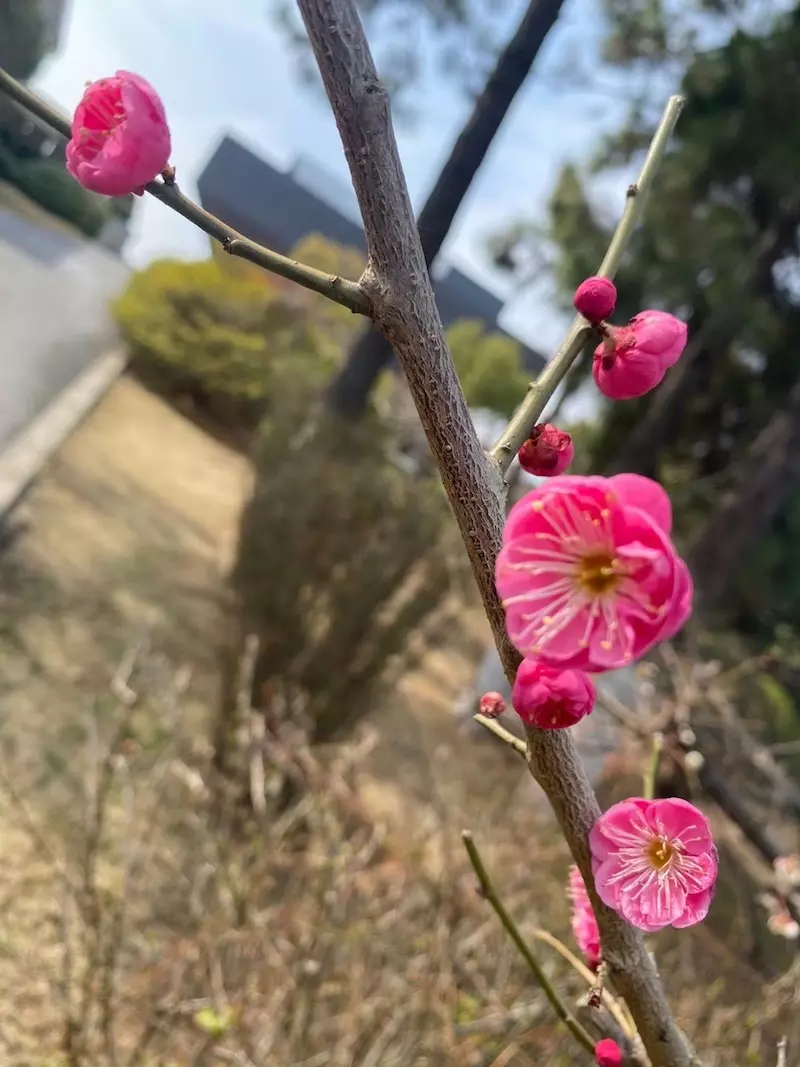 天生桥景区
