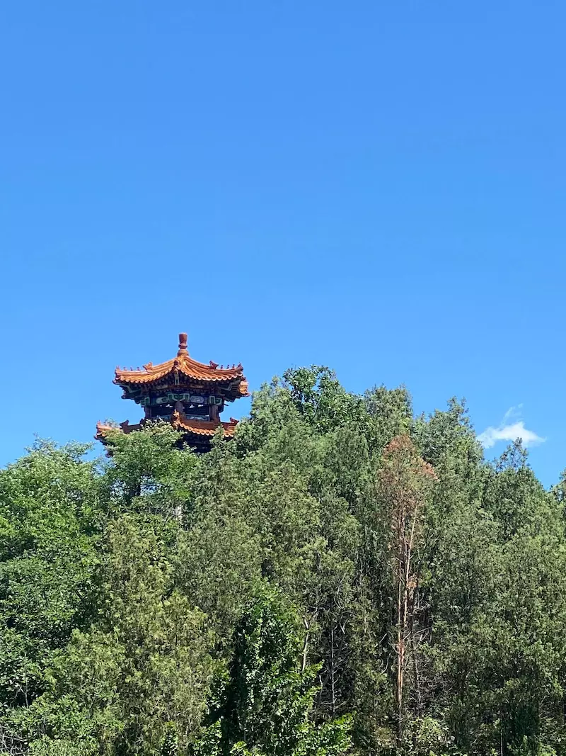 九龙山森林康养旅游度假区-九龙山森林公园