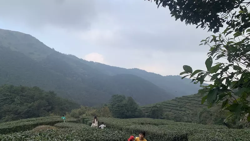 平天山国家森林公园