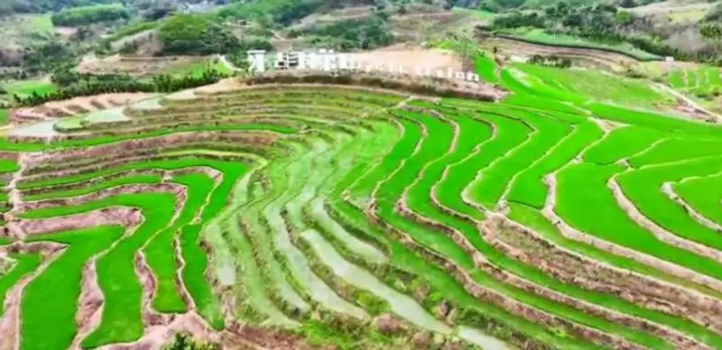 牙胡梯田景区
