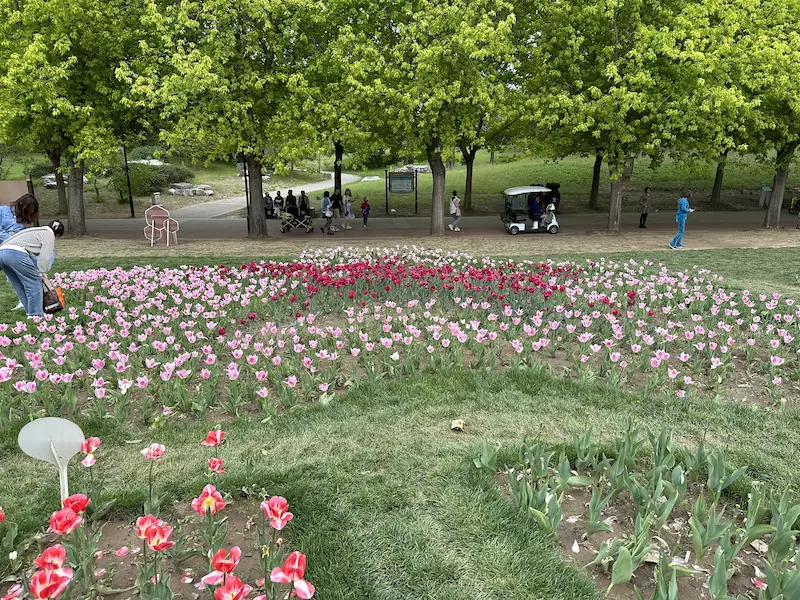 北京国际鲜花港