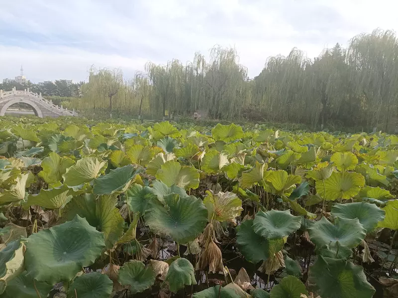 廊坊市劳动主题公园