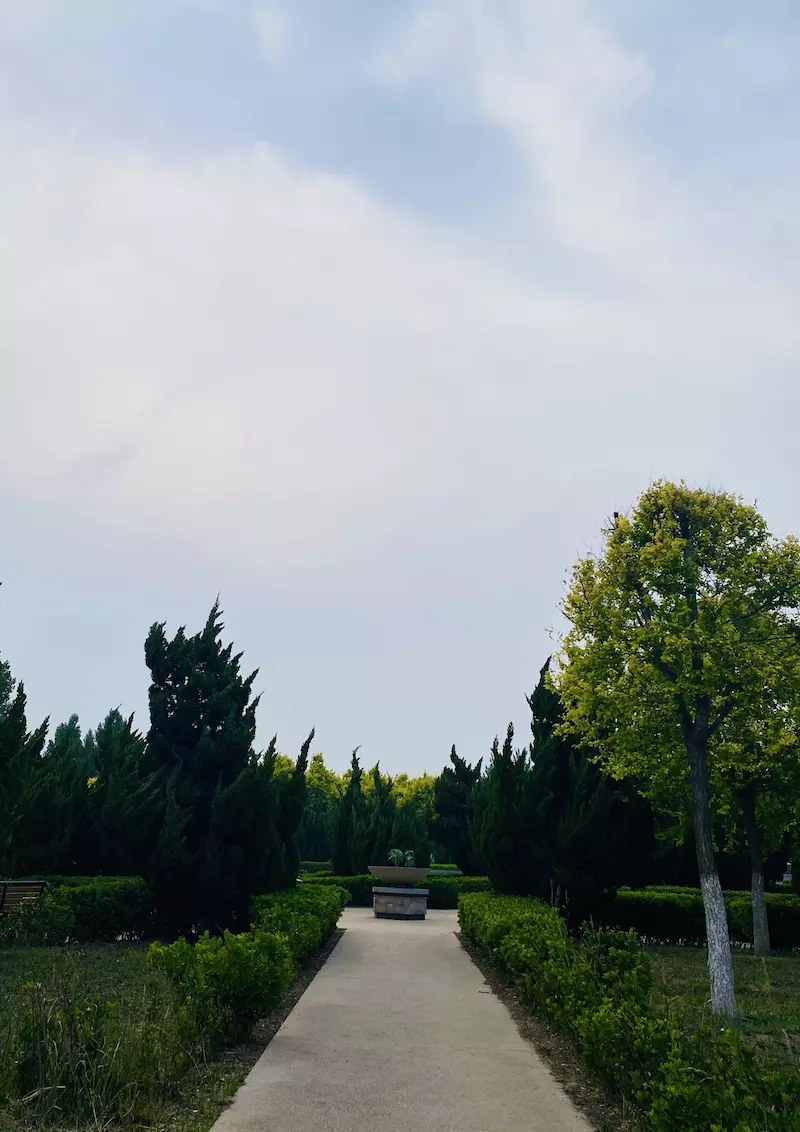 天津市城市风景