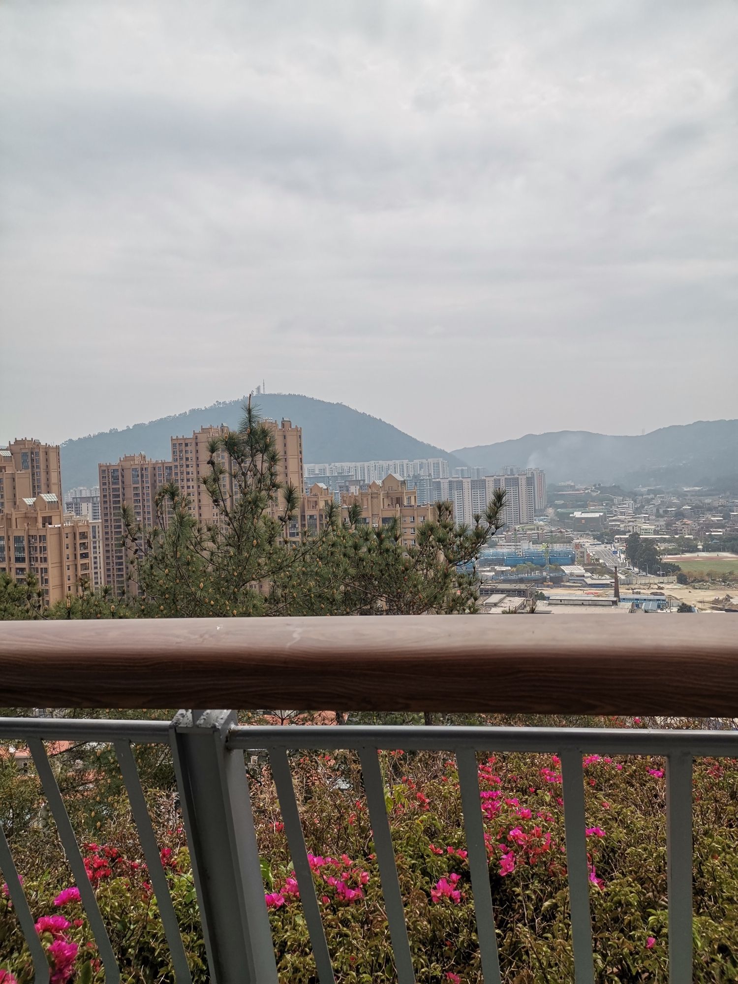 北山生态公园