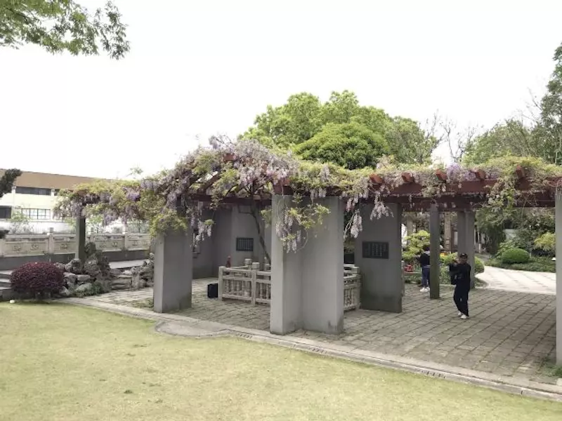 古藤园