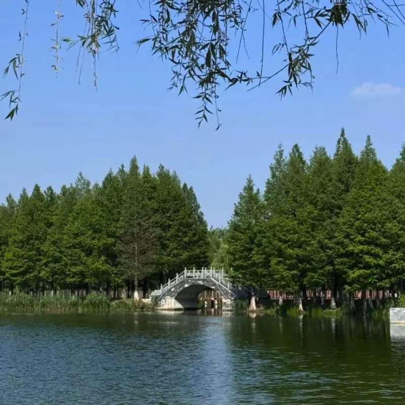 泗阳城市森林公园