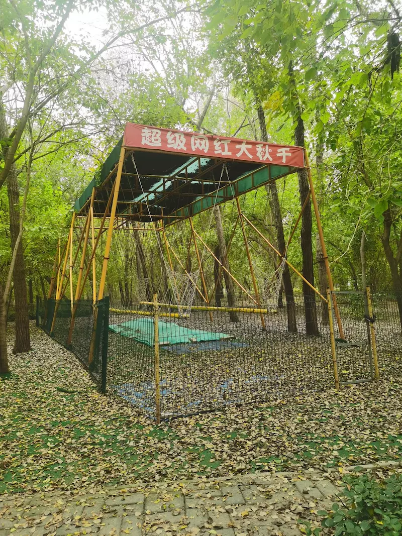 世纪八一林