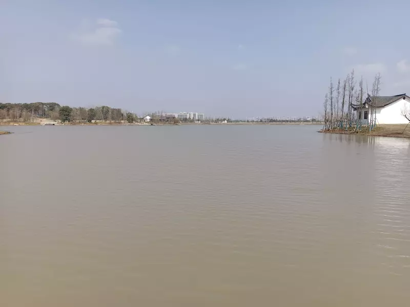 杨家湖公园