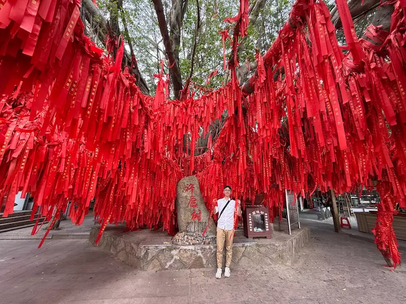许愿树