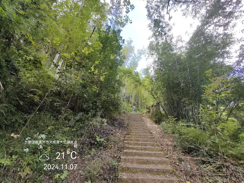 大会岭红枫古道