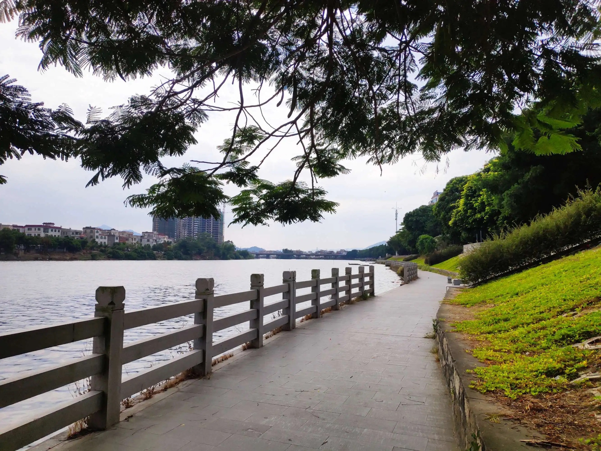 东江滨公园