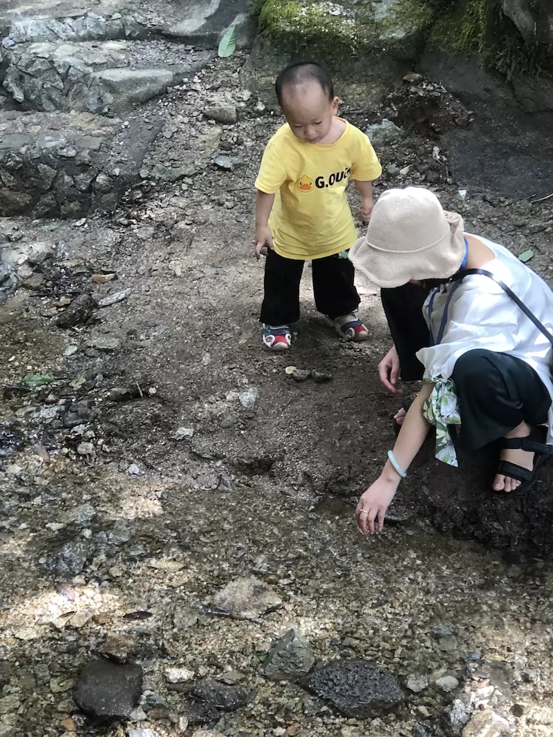 槽下乡村森林公园