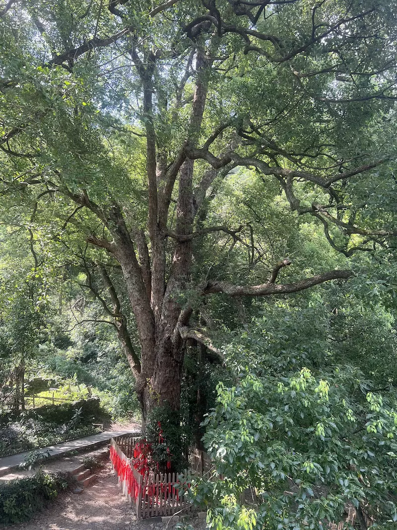 仙寓山风景区