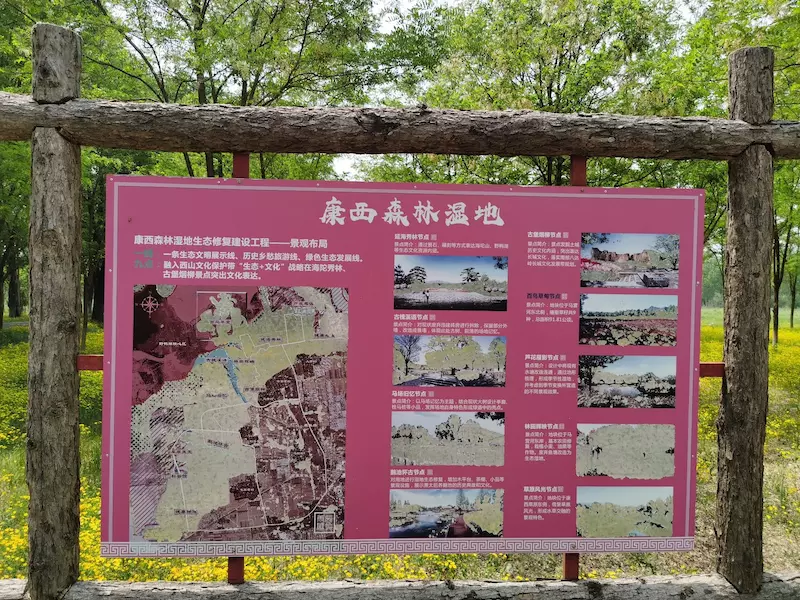 康西森林湿地公园延海秀林