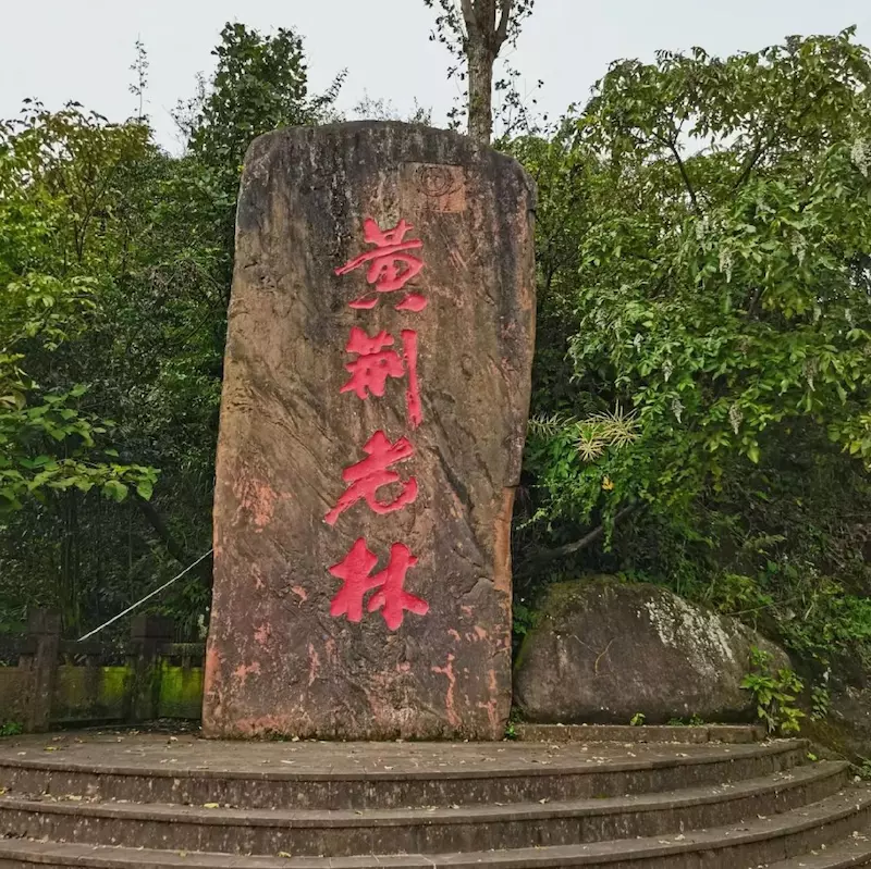 黄荆老林(装修中)
