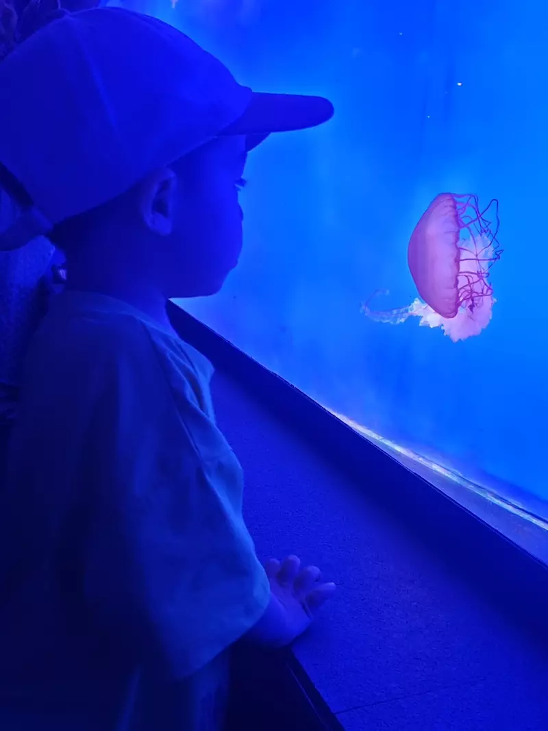 上海海洋水族馆