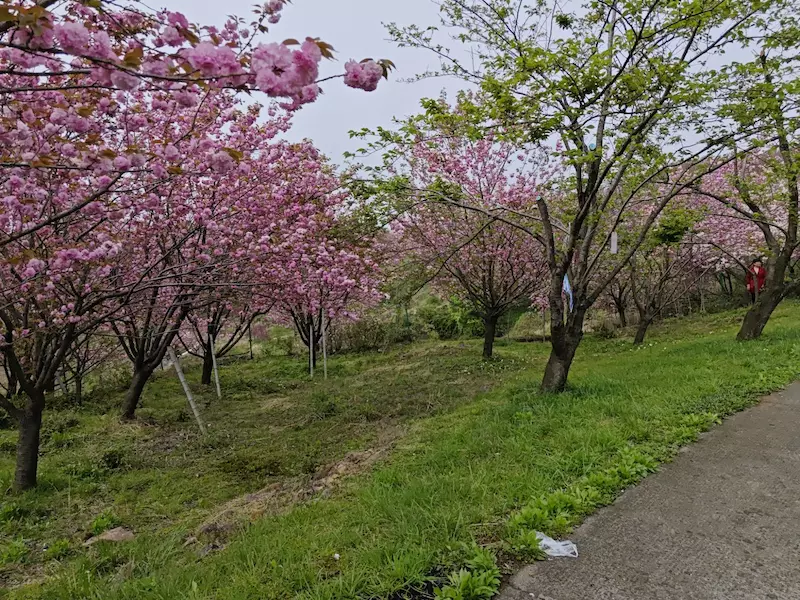 四明山杖锡风景区