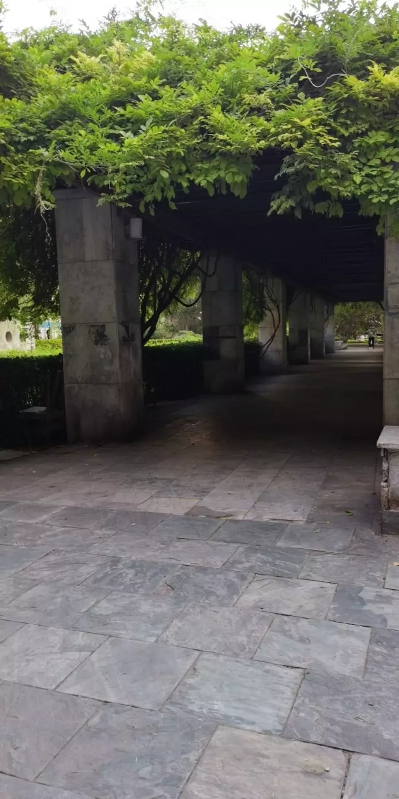 青年沟公园