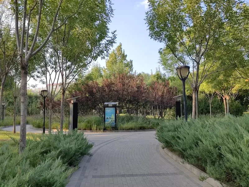 广阳城森林公园
