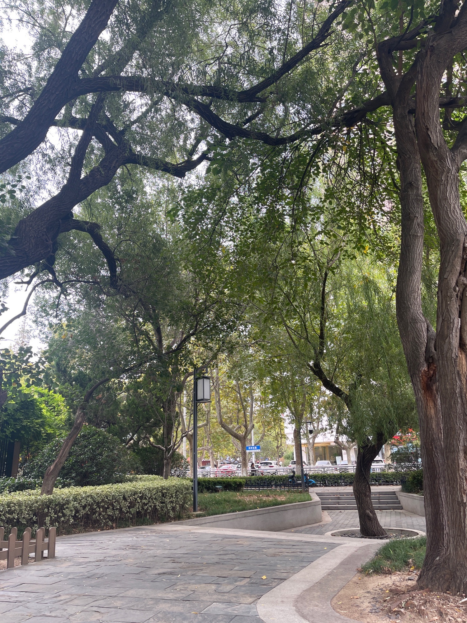 白水泉