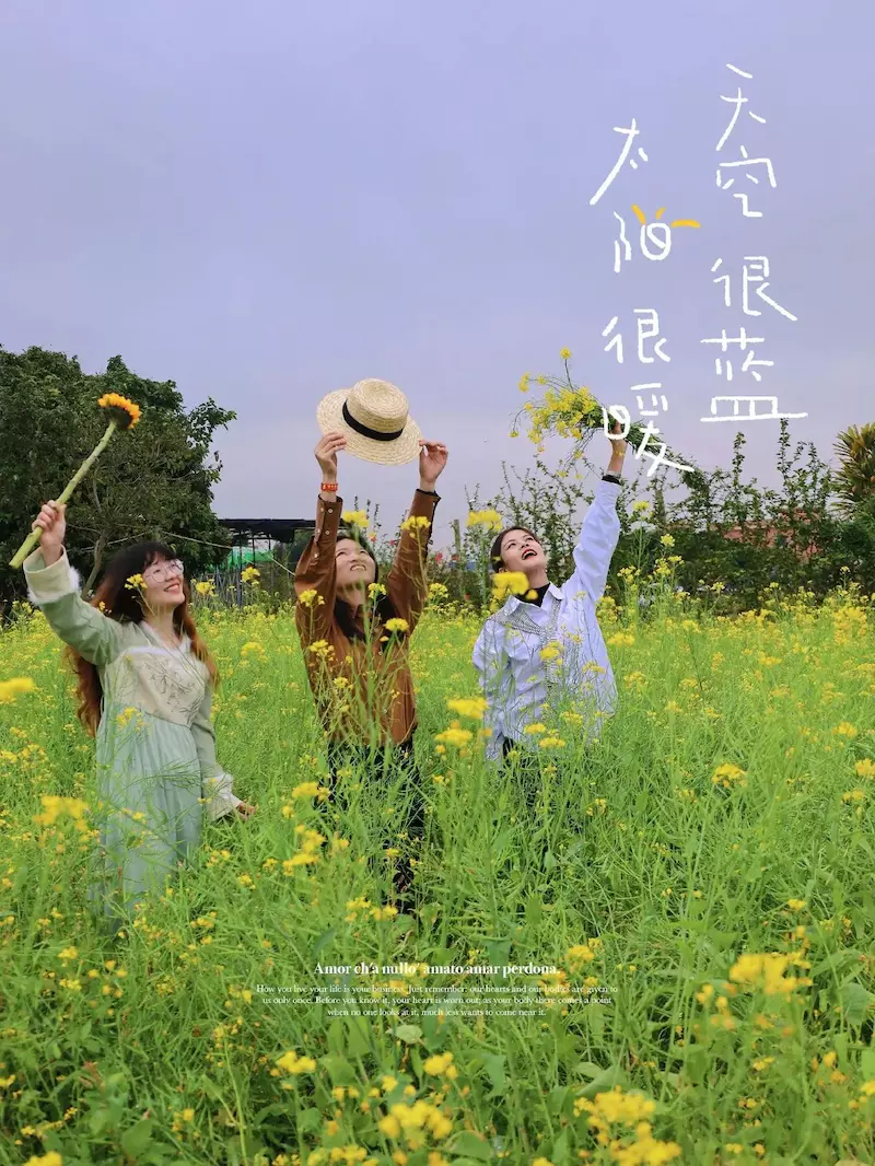 丽田园景区