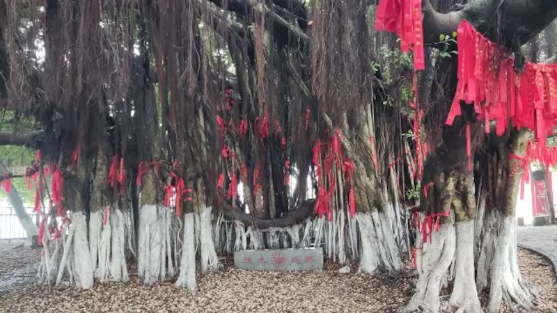 胡里山炮台