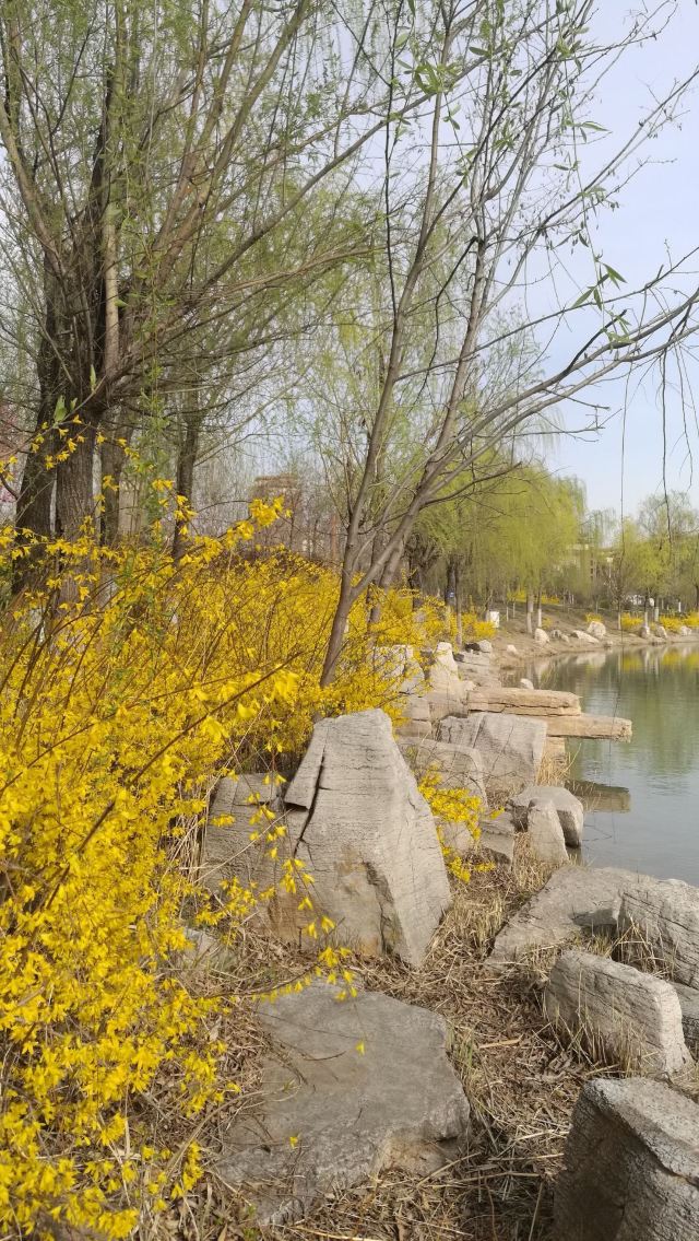 麻湾渔乐园