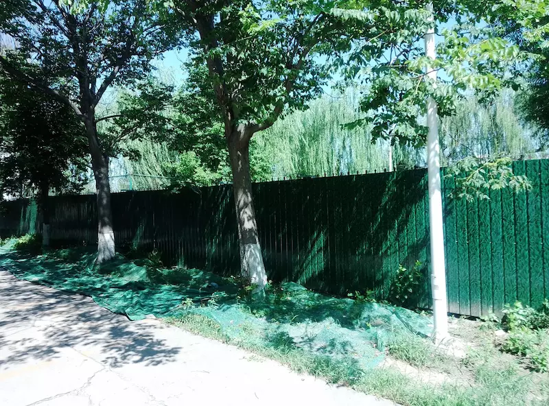 华航湖