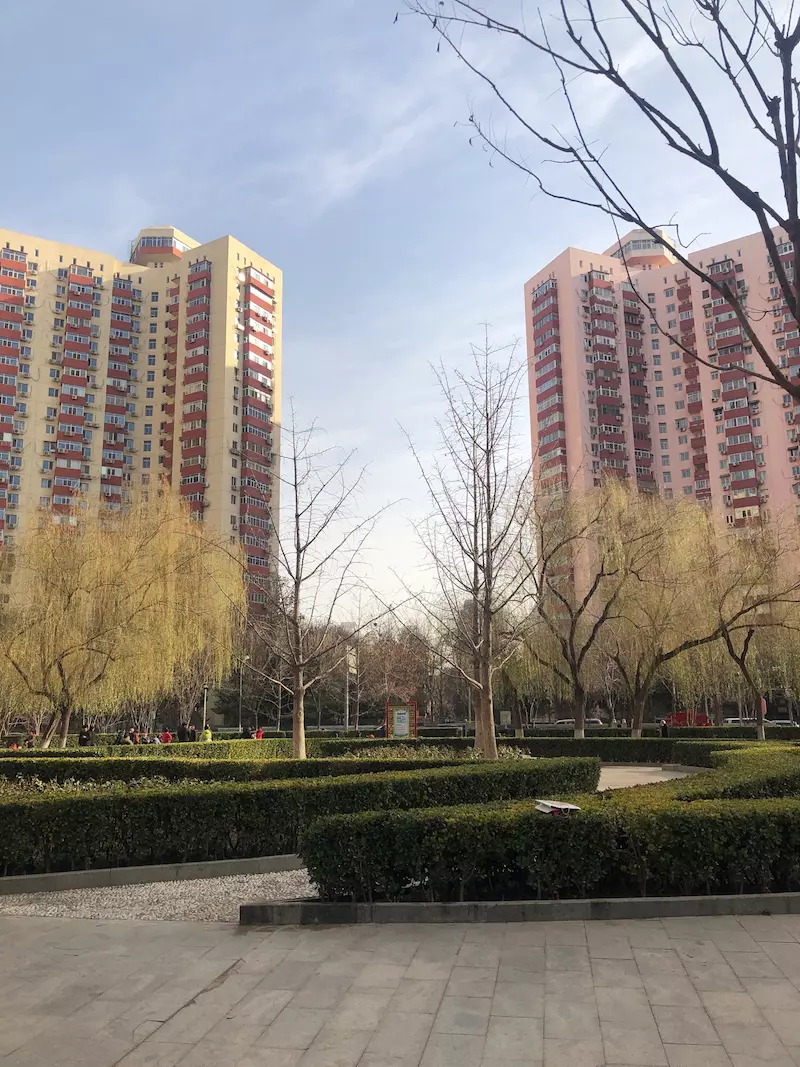 群乐园