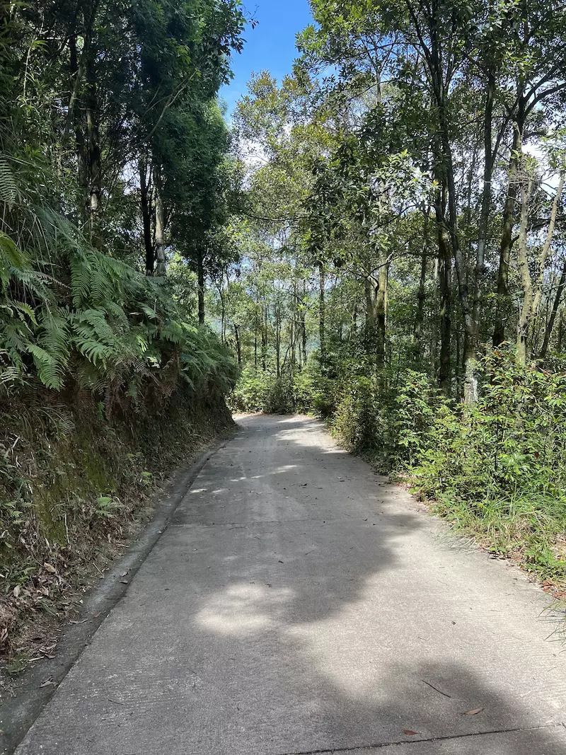 厦门莲花国家森林公园