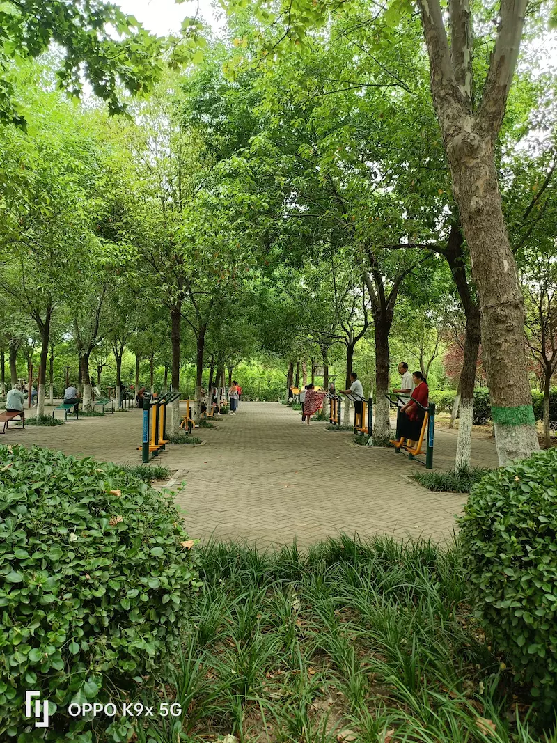 白鹭洲国家城市湿地公园