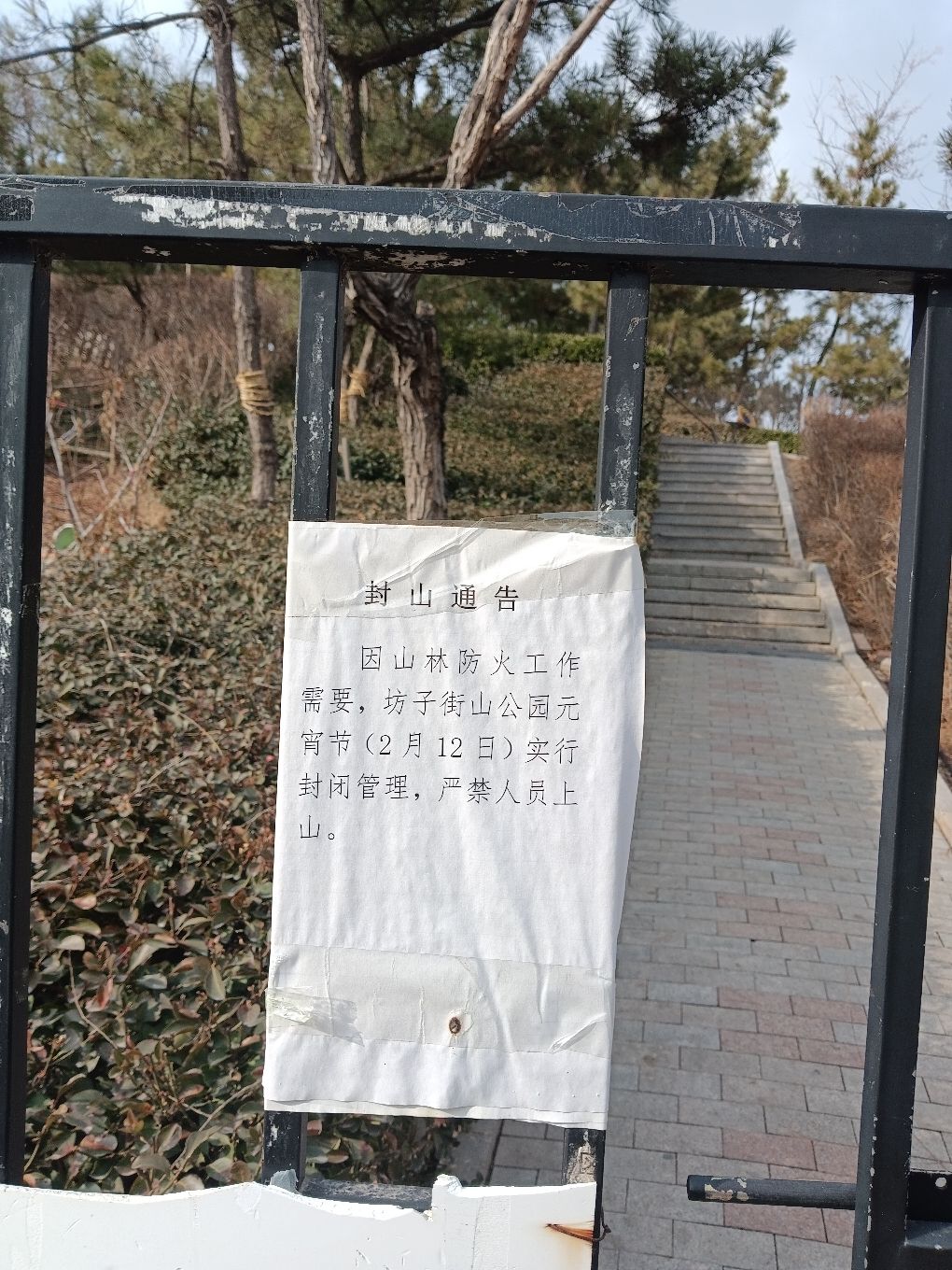坊子街山公园