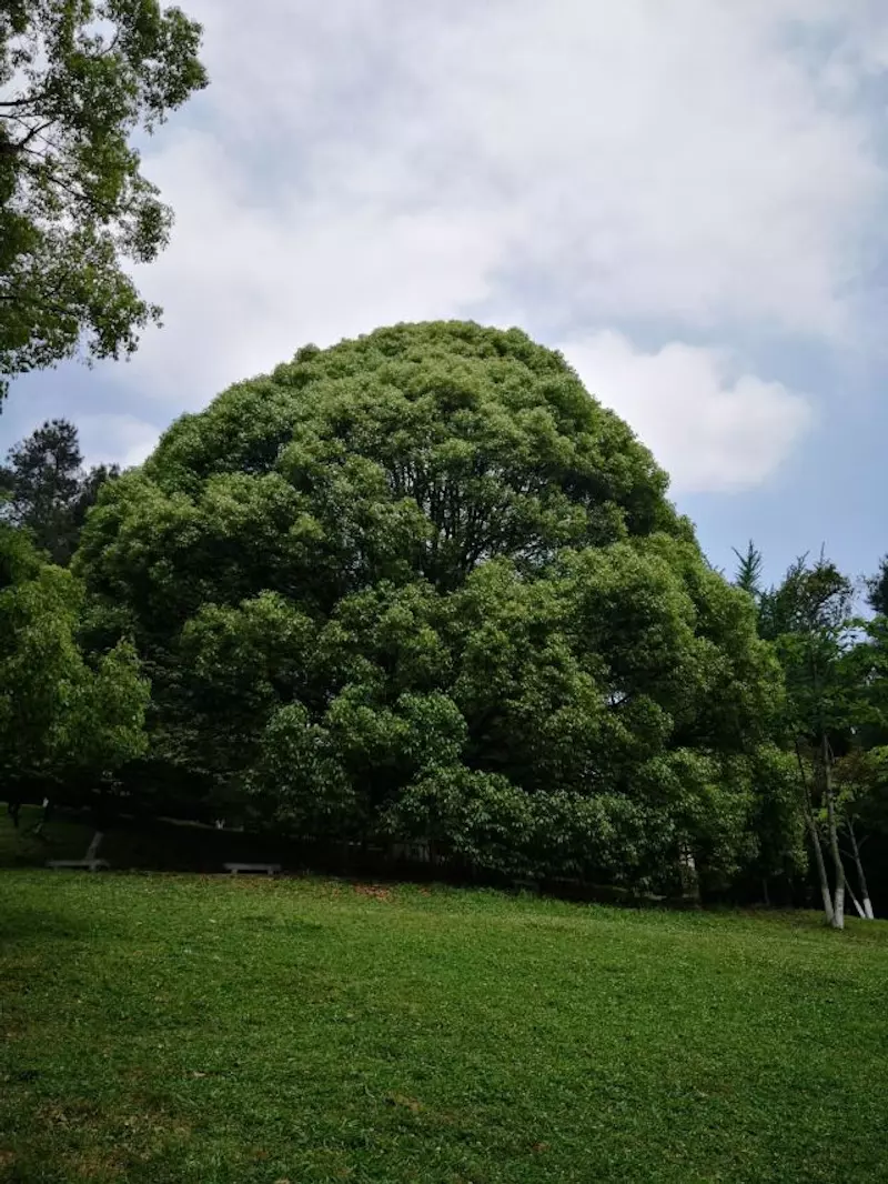 贵阳市森林公园