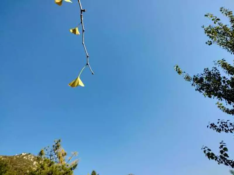 燕子湖风景区