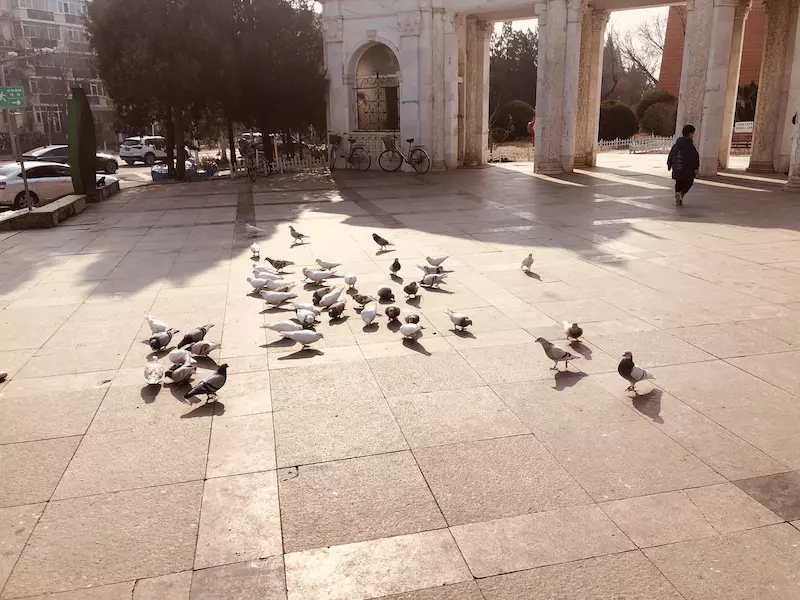 天通苑街心花园
