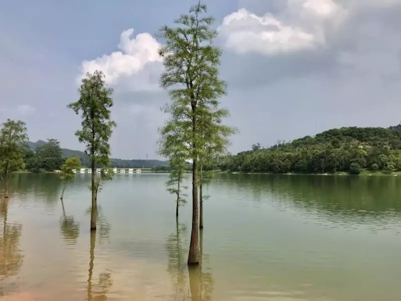 南门山森林公园