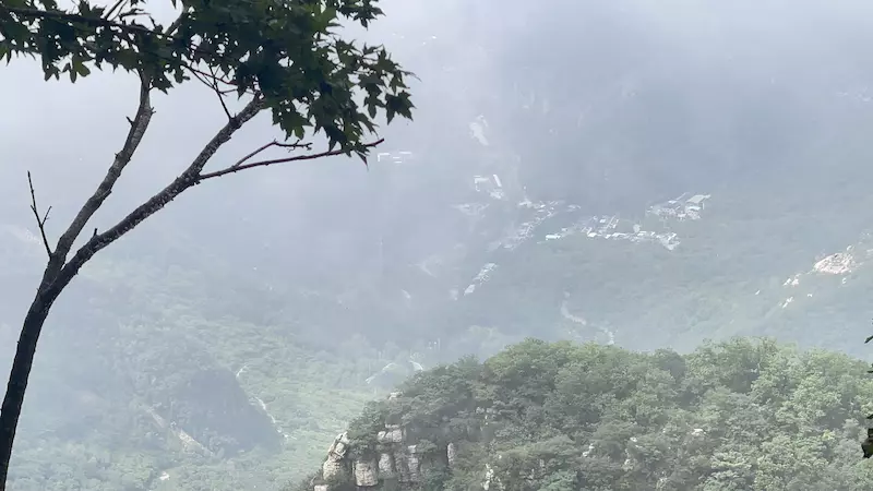 东指壶
