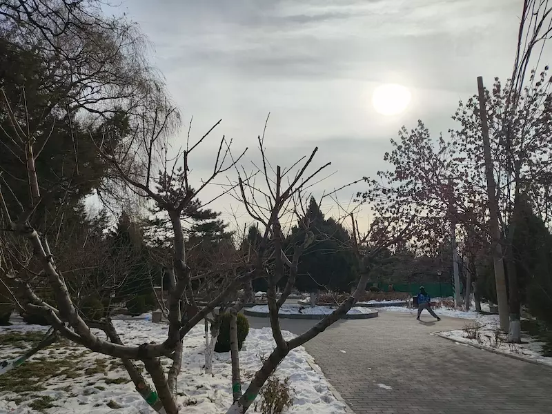 亮丽园