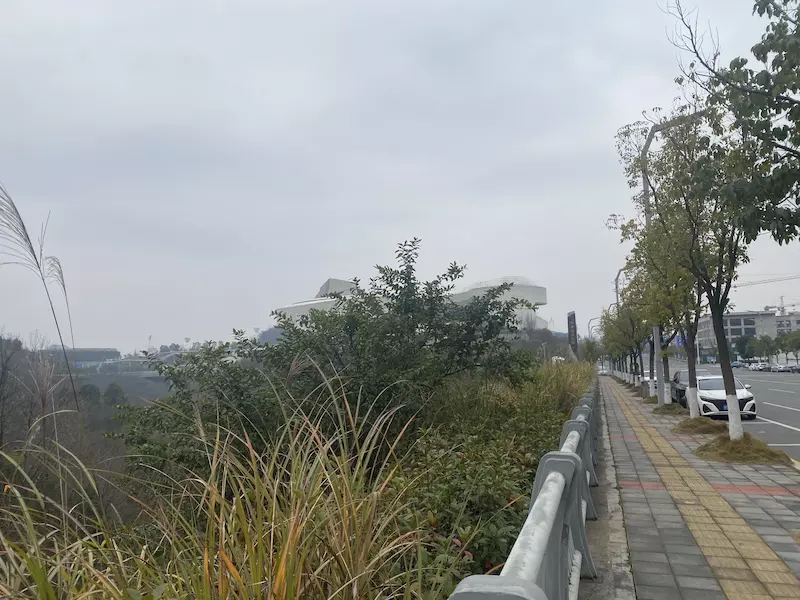 双龙生态公园