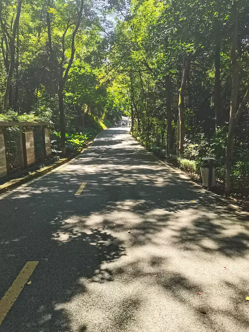 神光山国家森林公园