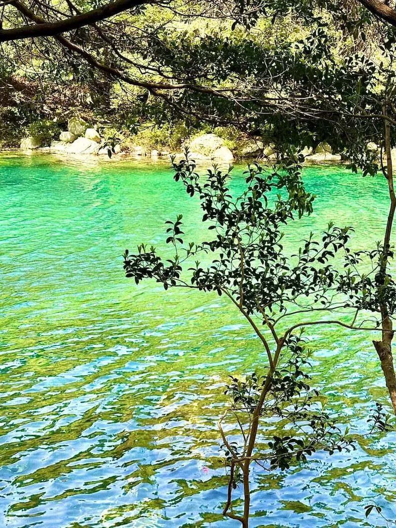 石台县牯牛降景区