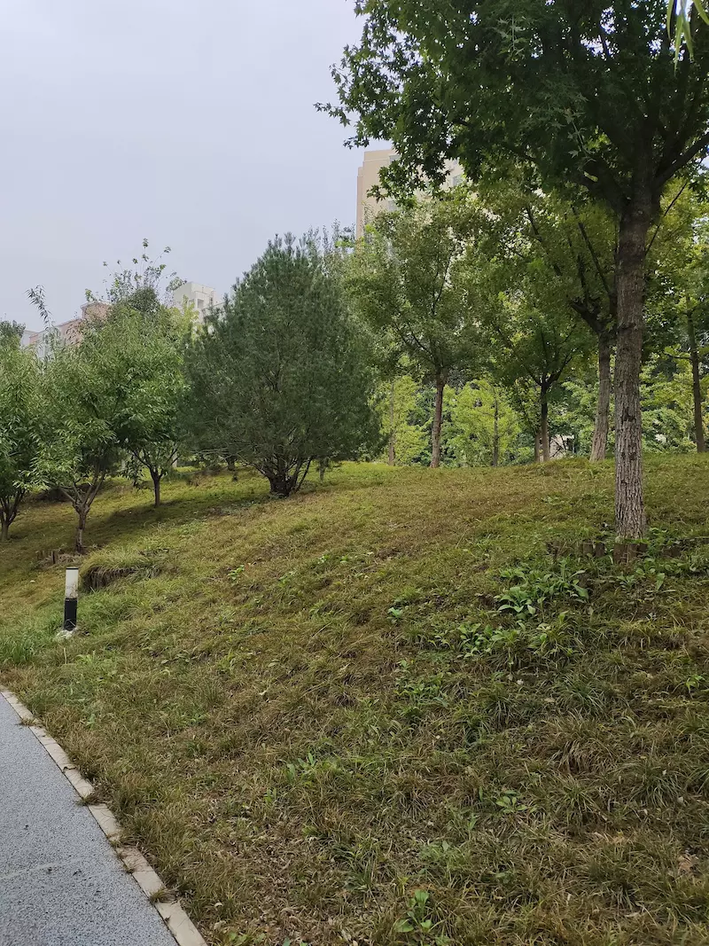 东高地公园