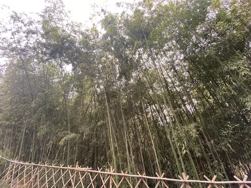 快哉亭公园