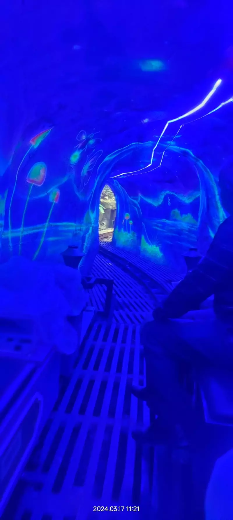 金光湖